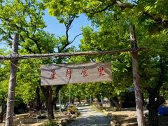 -沂蒙山旅游区龟蒙景区