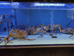 -阿伟海鲜楼·福建菜(延寿店)