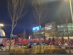 -状元阁烧烤(新华路总店)