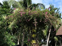 -万绿园