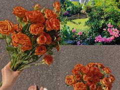 -杭州城北体育公园