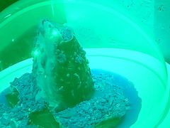 -上名堂·鱼头好吃(体育场路店)