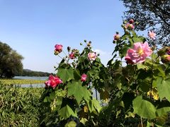 -茅家埠