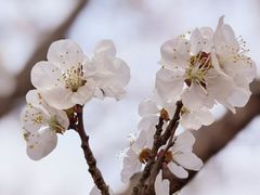 -太阳宫公园