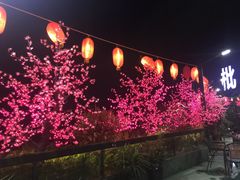 -枇杷园食为鲜火锅(南山店)