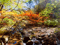 -关门山森林公园