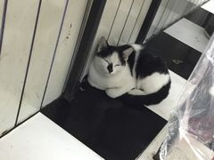 -潘国仙耳光馄饨(黄家阙路店)