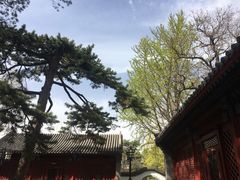 -北京鹫峰国家森林公园
