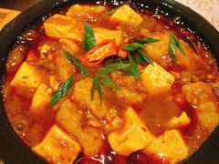 石锅豆腐鱼-大鸭梨烤鸭(左家庄店)