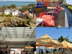 -巨鹏飞梦幻海岸