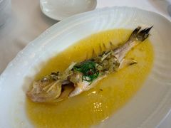 -福1015(愚园路店)