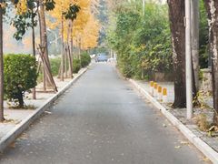 -斯多格书乡(北京大学畅春园店)