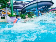 -重庆海昌加勒比海水世界