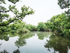 -西溪国家湿地公园