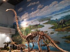 -自贡恐龙博物馆
