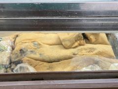 -清真·白记年糕(牛街北口店)