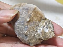 -四道口水产市场