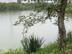 -昆山城市生态森林公园