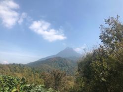 -京都造型·烫发·染发
