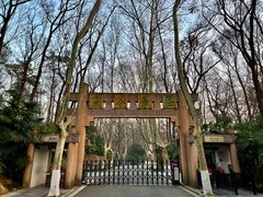 -灵谷景区
