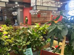 -洞庭家宴·头牌甲鱼(广渠门店)