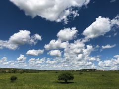 景点二道河沿土路一直往上-塞罕坝国家级自然保护区