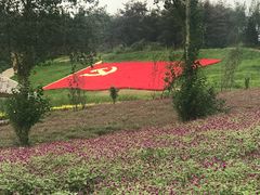 -北纬44度·金珠花海休闲农业旅游景区