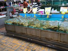-都斛海鲜街