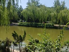 -南翠屏公园