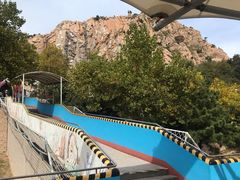 -西霞口神雕山野生动物世界