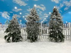 -世界之窗阿尔卑斯冰雪世界