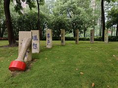 -陈家山荷花公园
