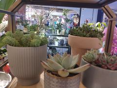 -茶马花街(城西银泰城店)