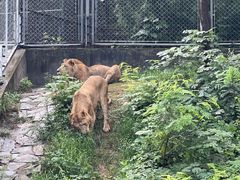 -石家庄市动物园