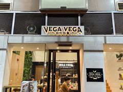 -VEGA VEGA 我行我素