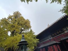 -红螺寺