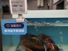 -盒马X会员店(王府井奥莱UP TOWN店)