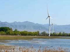 -野鸭湖国家湿地公园