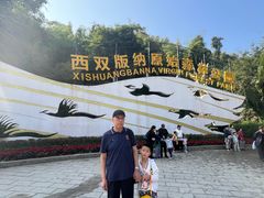 -西双版纳原始森林公园
