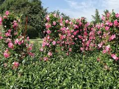 -白沙门生态公园