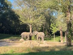 -北京野生动物园