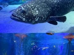 -沈阳海洋探索中心