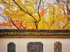-莫干山风景区