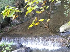 -宁波五龙潭景区