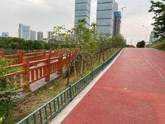 -艾溪湖湿地公园