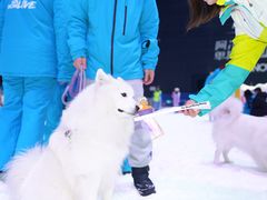 -世界之窗阿尔卑斯冰雪世界