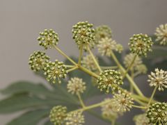 -浙江万里学院(钱湖校区)