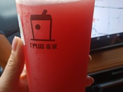-TPLUS茶家(浦电路店)