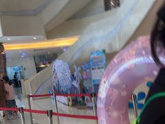 -南宫温泉水世界