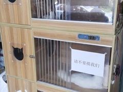 -A猫a狗全科·犬猫异宠·芥西宠物医院(南开总院)